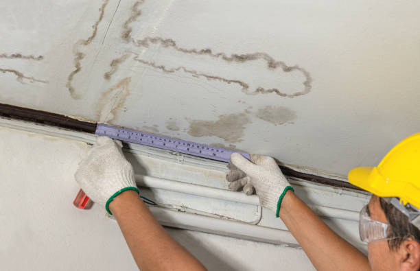 Reliable Basement Water Removal contractor in Richmond, KY by Water Damage Irwin